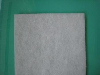 500x331